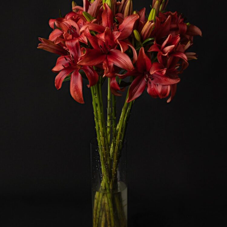 Ramo Lilium Rojo