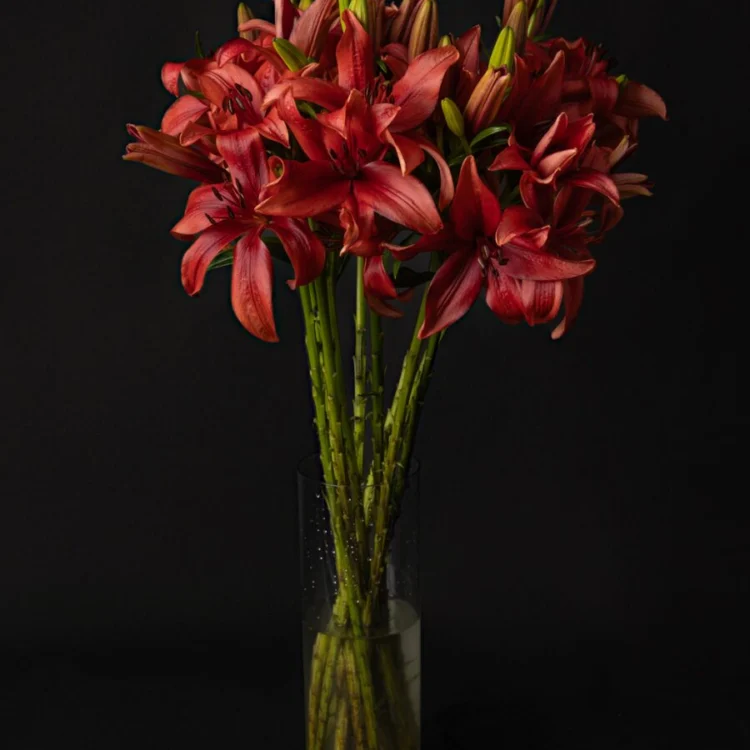 Red Lilium Bouquet