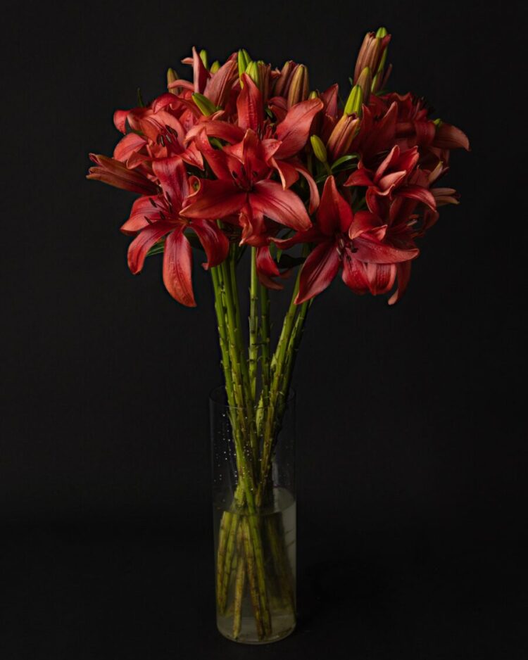Ramo Lilium Rojo