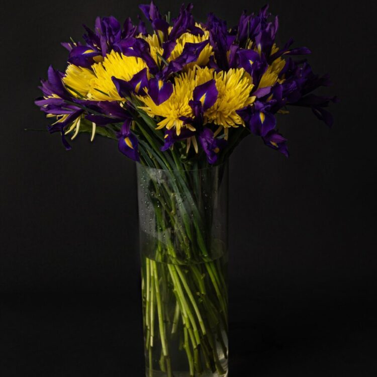 Ramo Anastasias e Iris