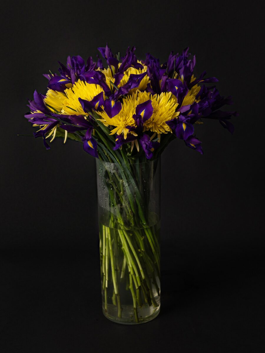 Ramo Anastasias e Iris