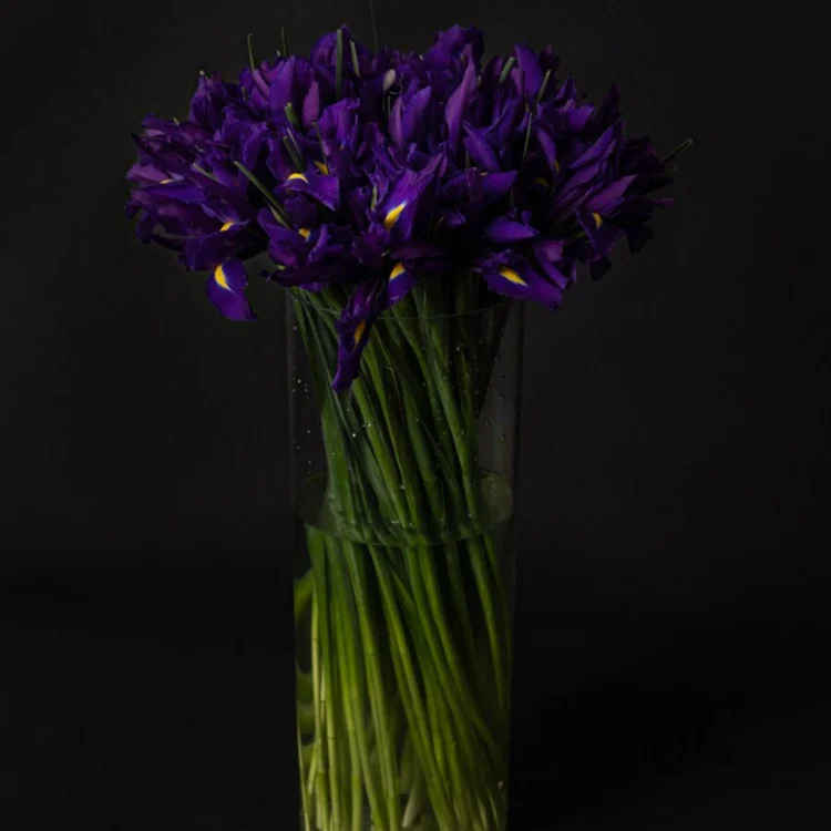 Bouquet of 50 Iris