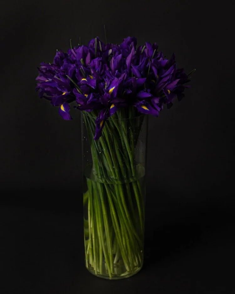 Bouquet of 50 Iris