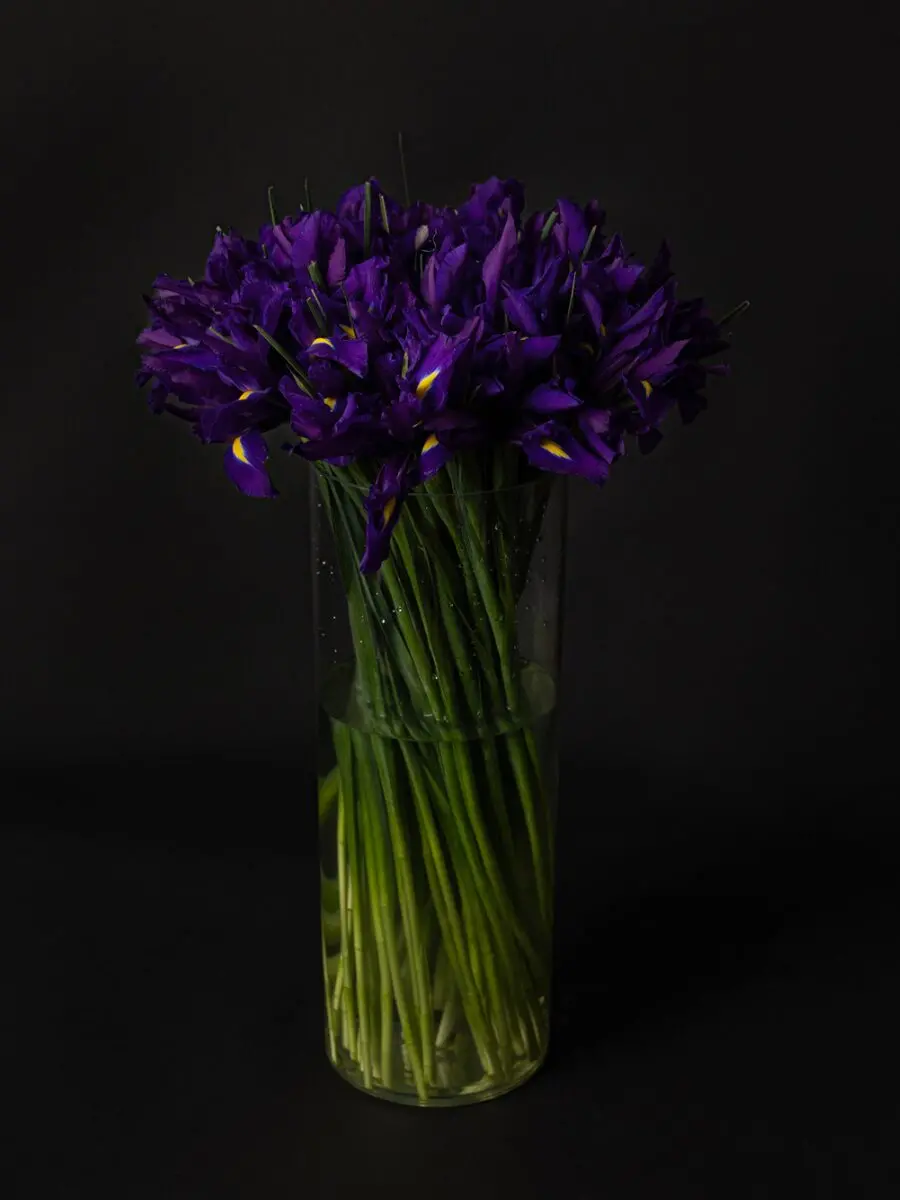 Bouquet of 50 Iris
