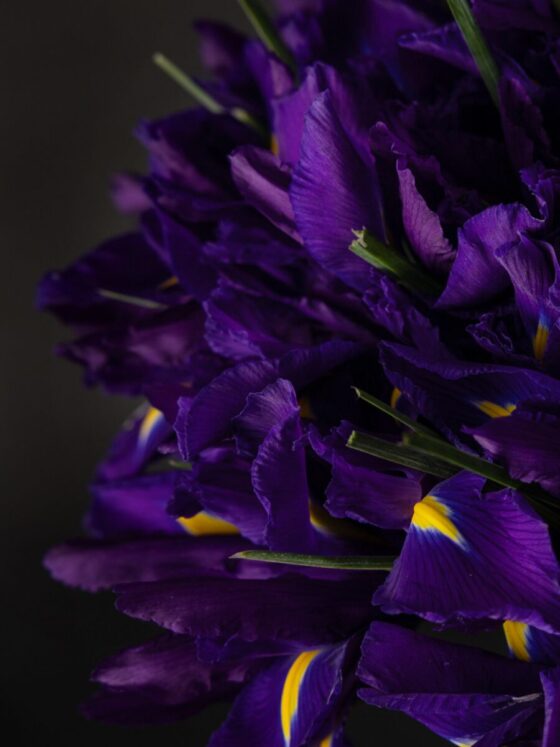Ramo de 50 Iris - Imagen 3