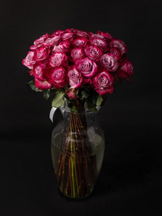 Ramo 50 rosas premium Deep purple