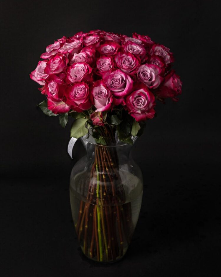 Ramo 50 rosas premium Deep purple