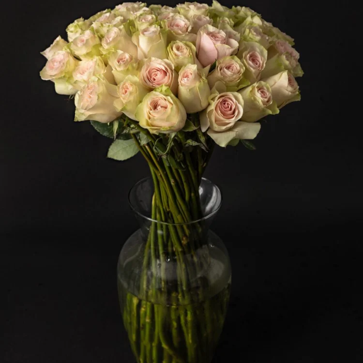 Bouquet of 50 Premium frutteto roses