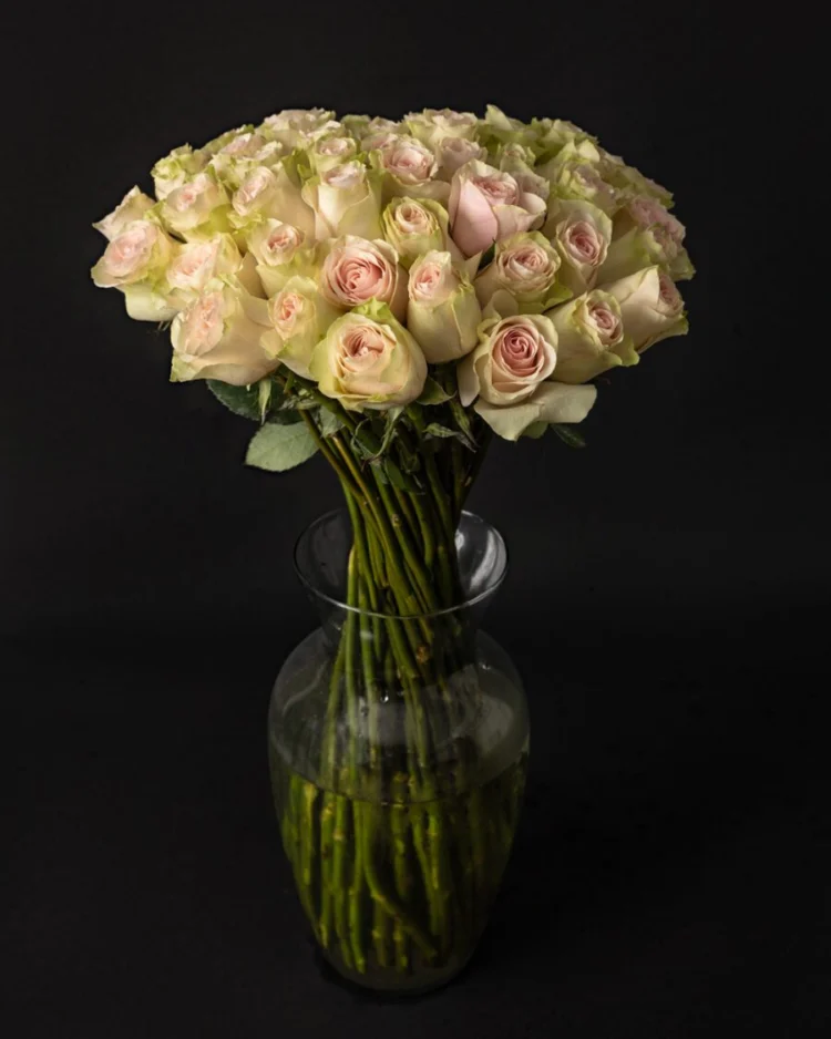 Bouquet of 50 Premium frutteto roses
