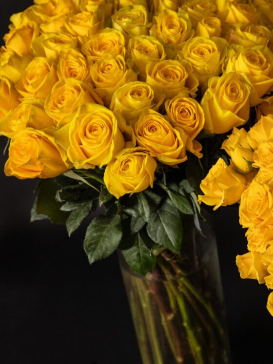 Ramo de 50 rosas Premium Amarillas - Imagen 4