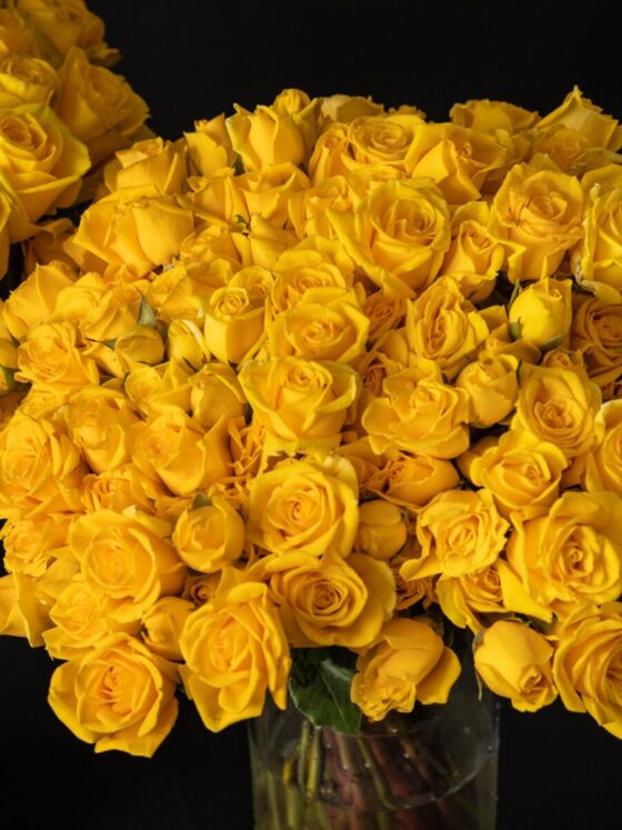 Ramo de 50 rosas Premium Amarillas - Imagen 2