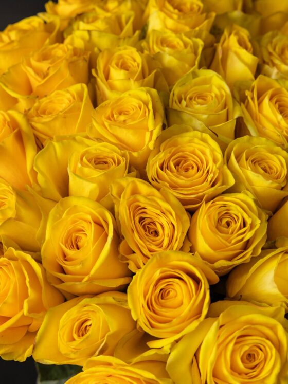 Ramo de 50 rosas Premium Amarillas - Imagen 3