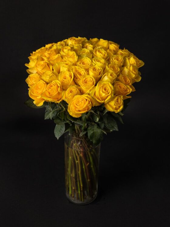 Ramo de 50 rosas Premium Amarillas