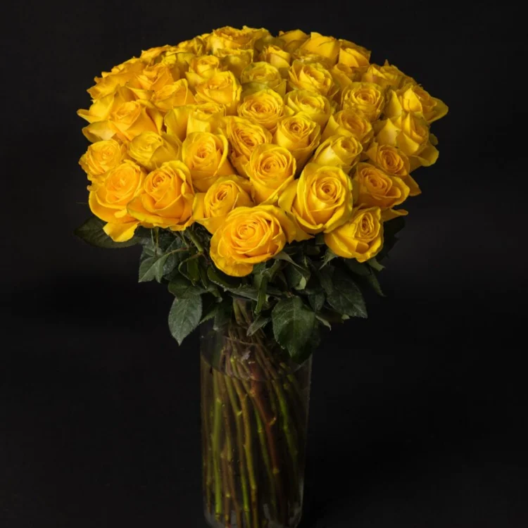 Bouquet of 50 Premium Yellow Roses