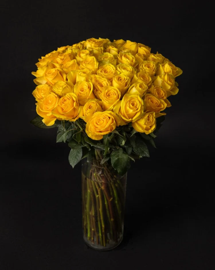 Bouquet of 50 Premium Yellow Roses