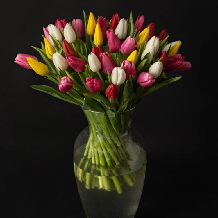 Bouquet of 50 colorful tulips