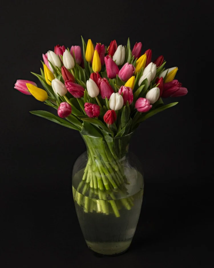 Bouquet of 50 colorful tulips
