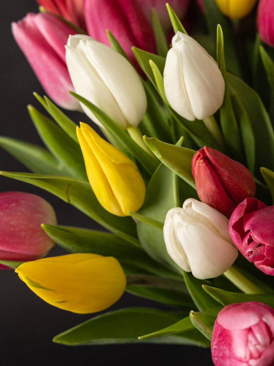 Ramo de 50 Tulipanes Coloridos - Imagen 2