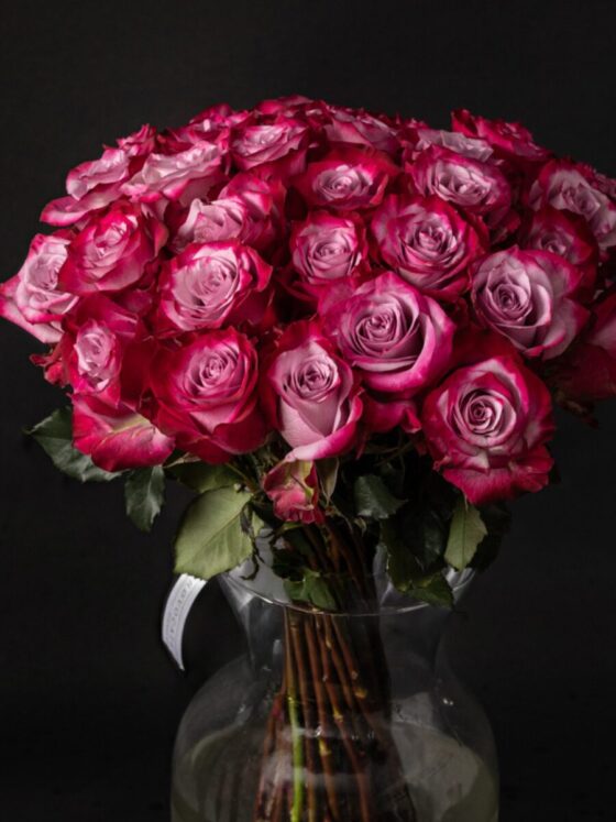Ramo 50 rosas premium Deep purple - Imagen 2