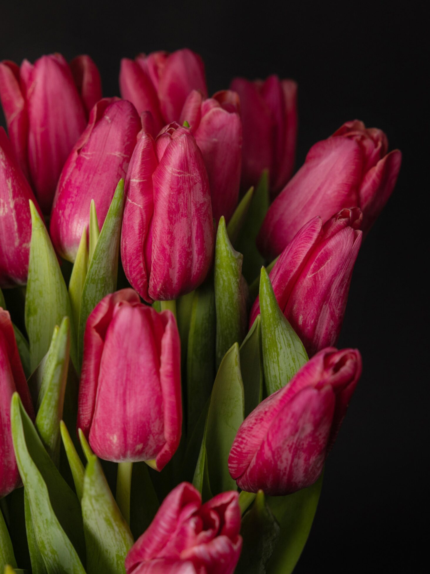 Ramo de tulipanes rosas - Imagen 2