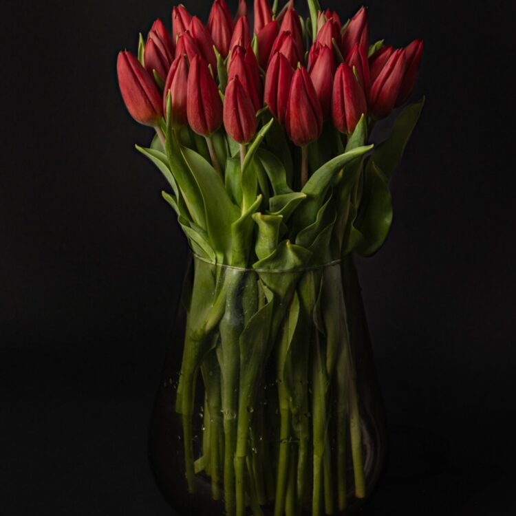 Ramo de tulipanes rojos