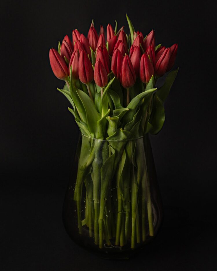 Ramo de tulipanes rojos