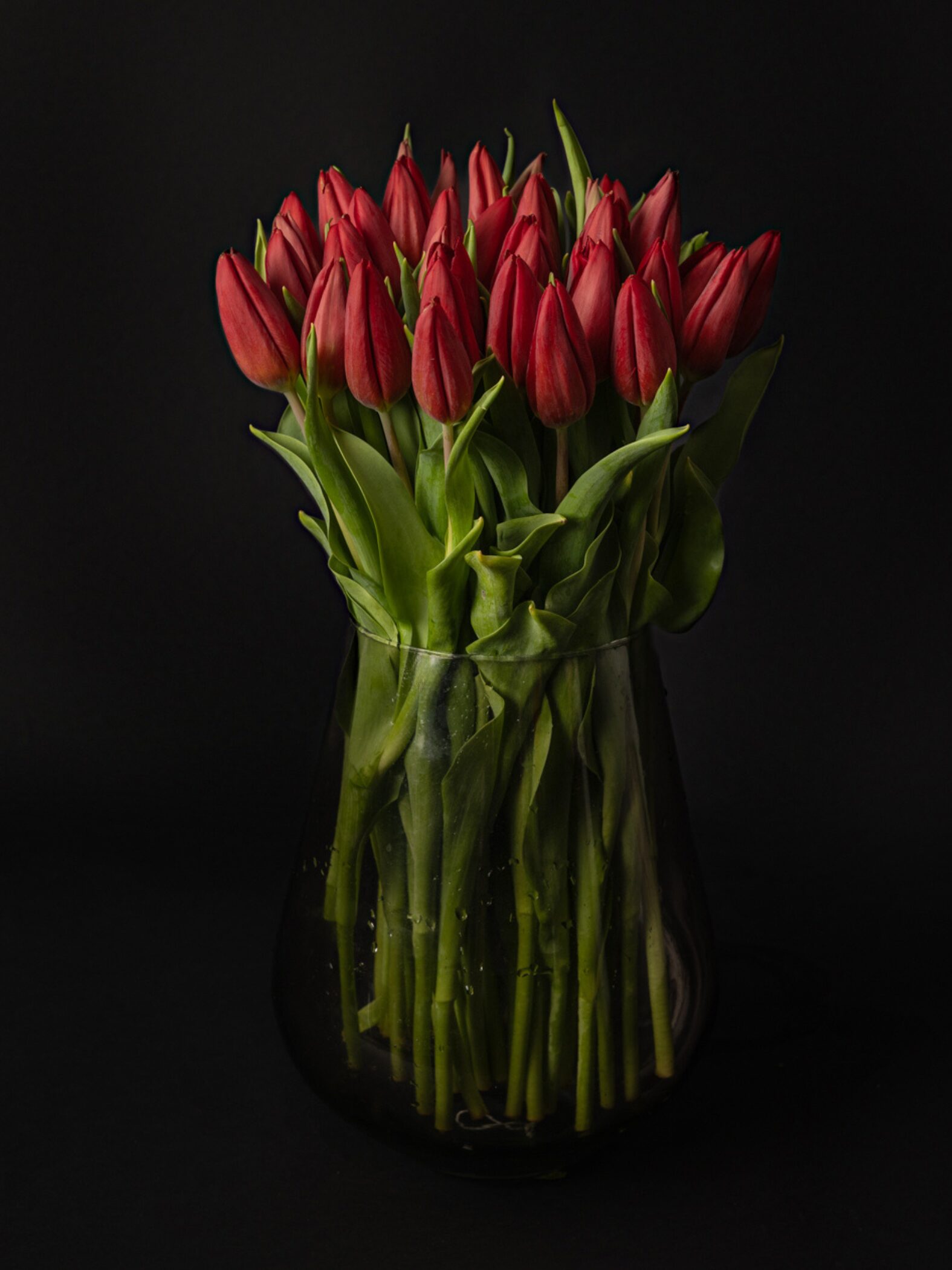 Ramo de tulipanes rojos