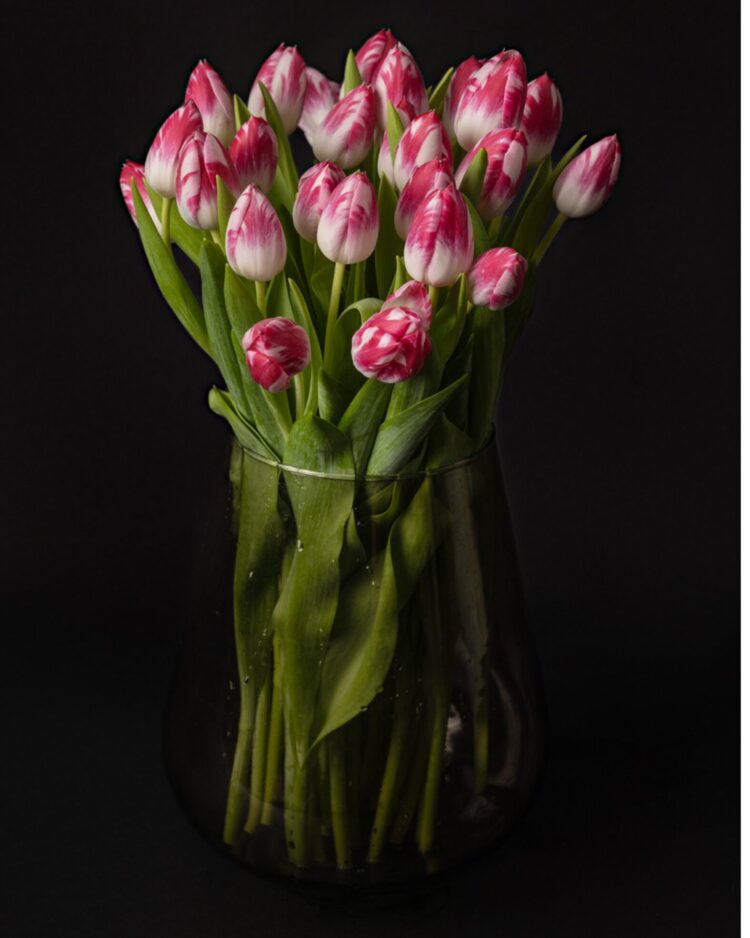 Ramo de tulipanes daisy