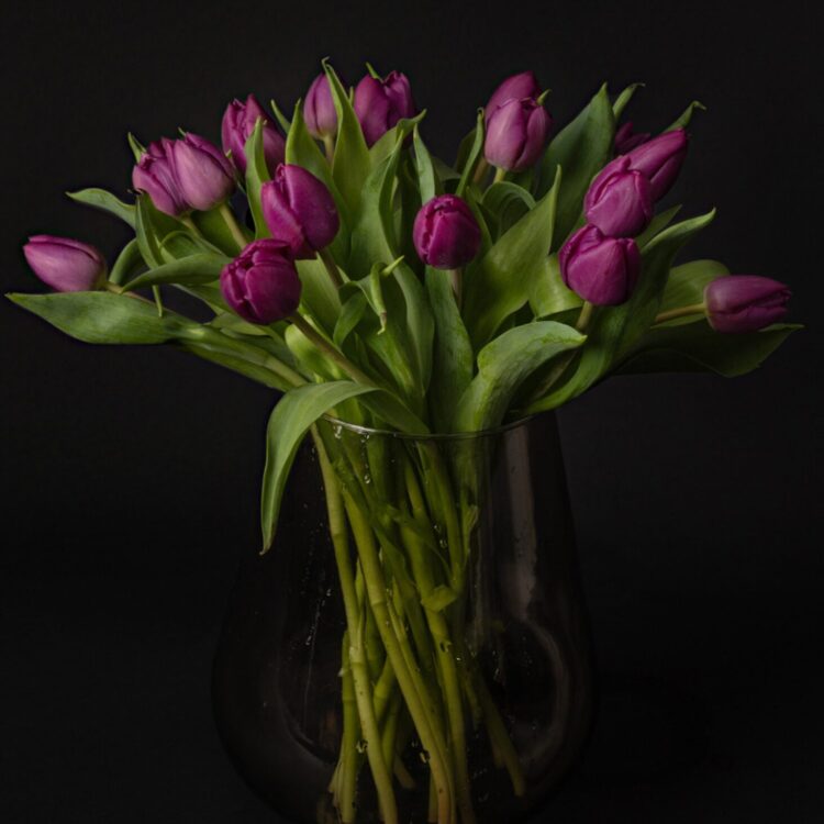 Ramo de tulipanes morados