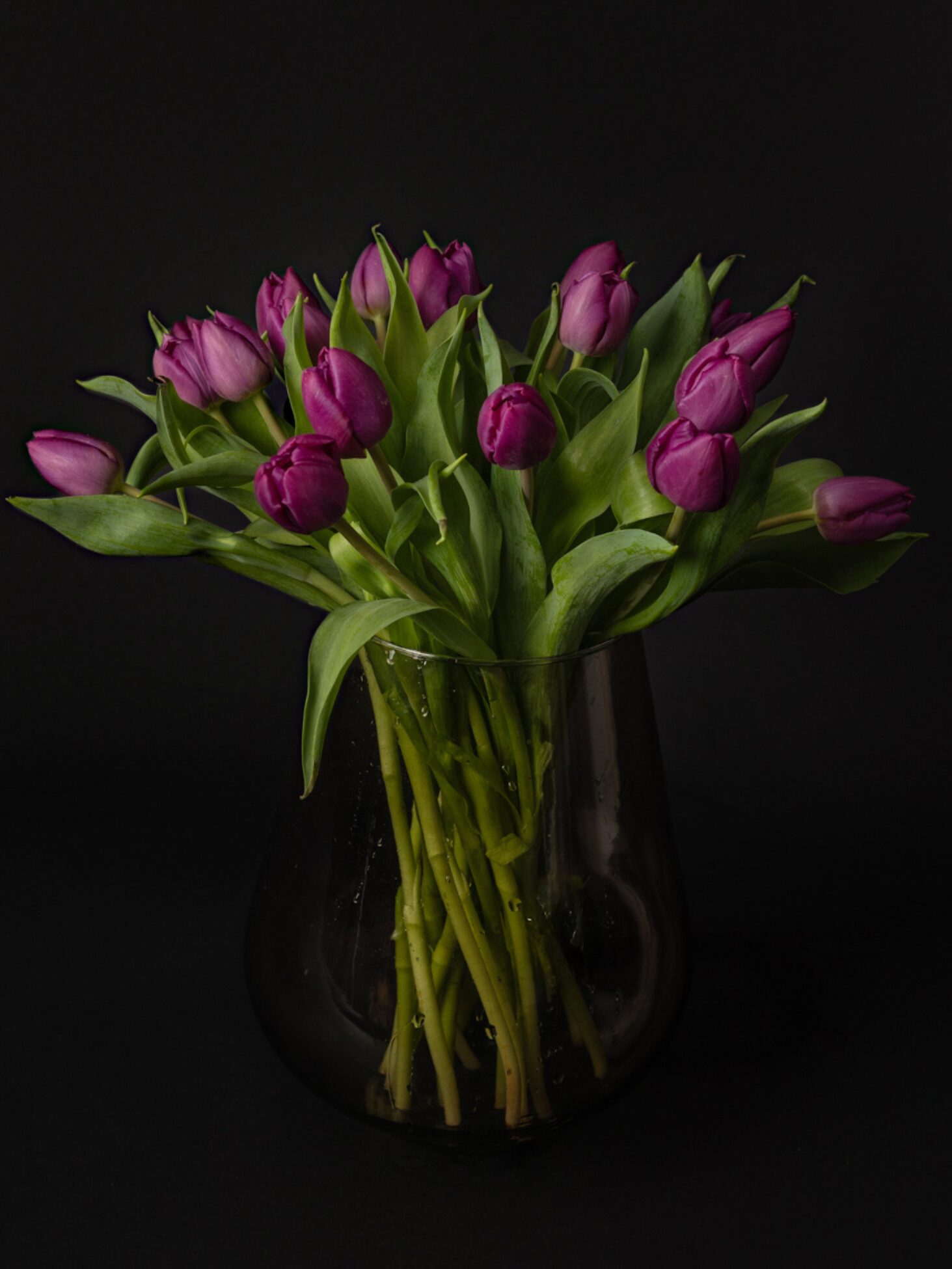 Ramo de tulipanes morados