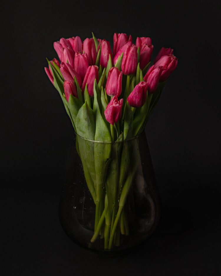 Ramo de tulipanes rosas