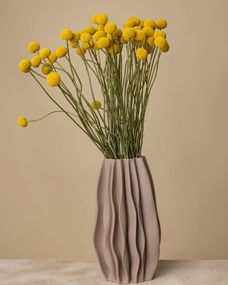 Ramo de 50 Craspedia