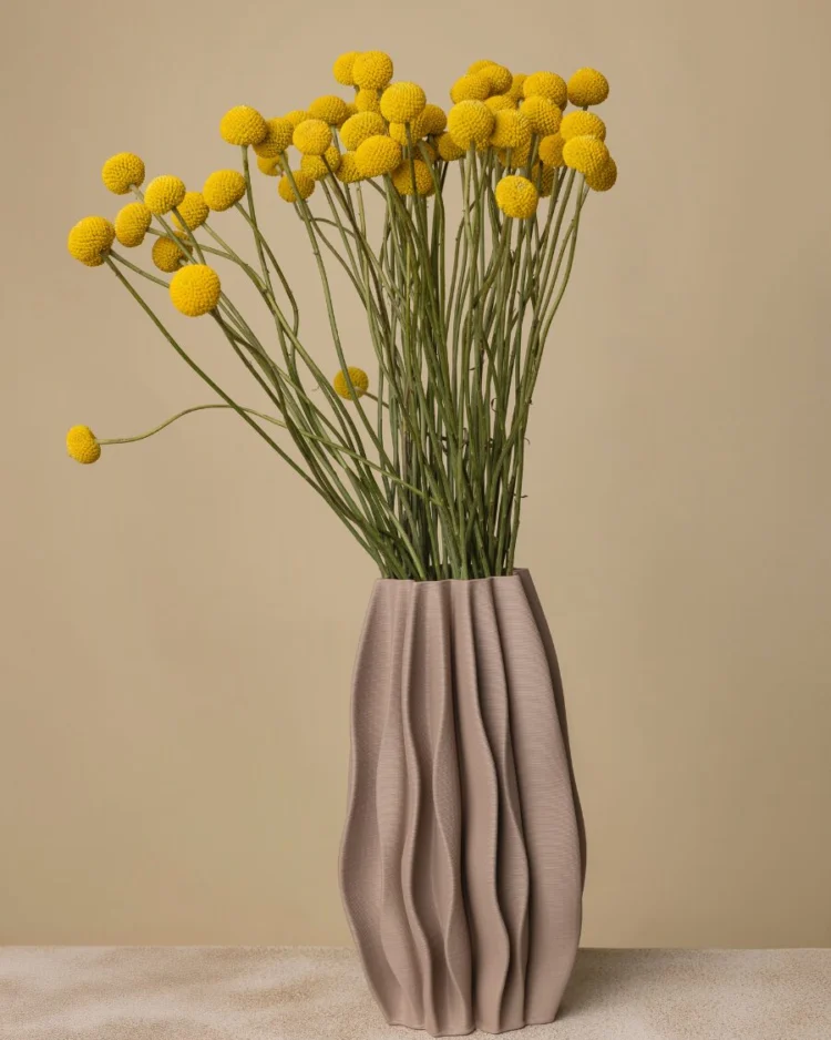 Bouquet of 50 Craspedia