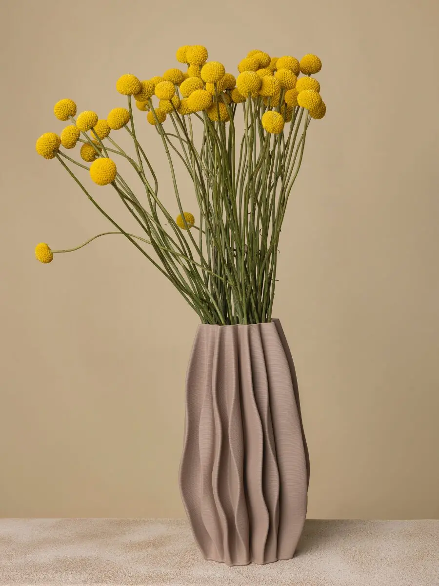 Bouquet of 50 Craspedia