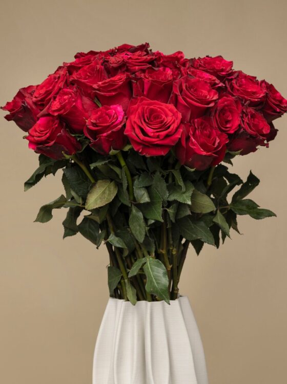 Ramo de 50 Rosas Red Panther Premium - Imagen 2