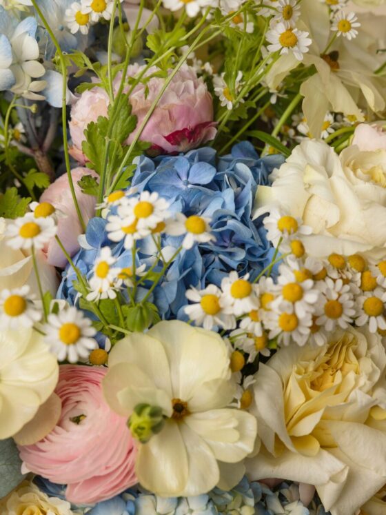 Amélie Bouquet - Imagen 2