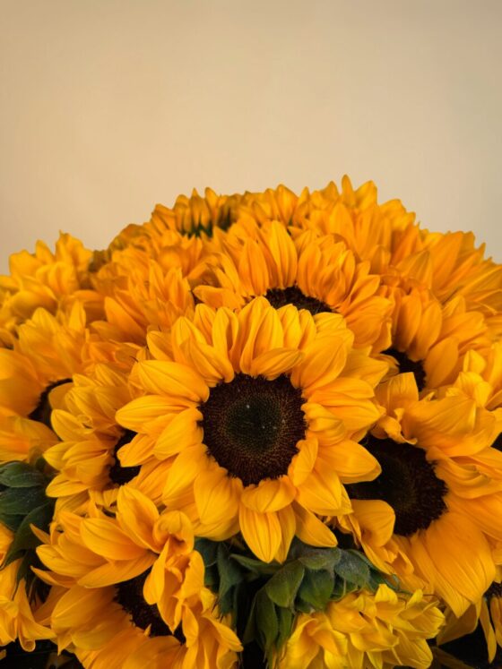Bouquet de 50 Girasoles - Imagen 3