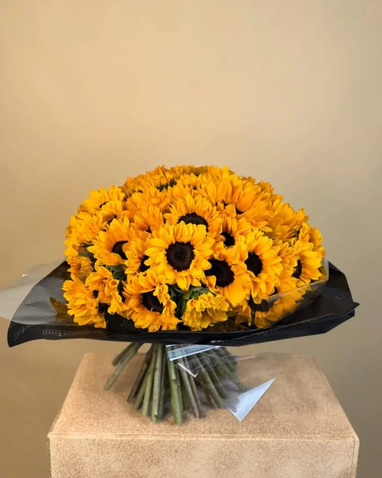 Bouquet of 50 Sunflowers