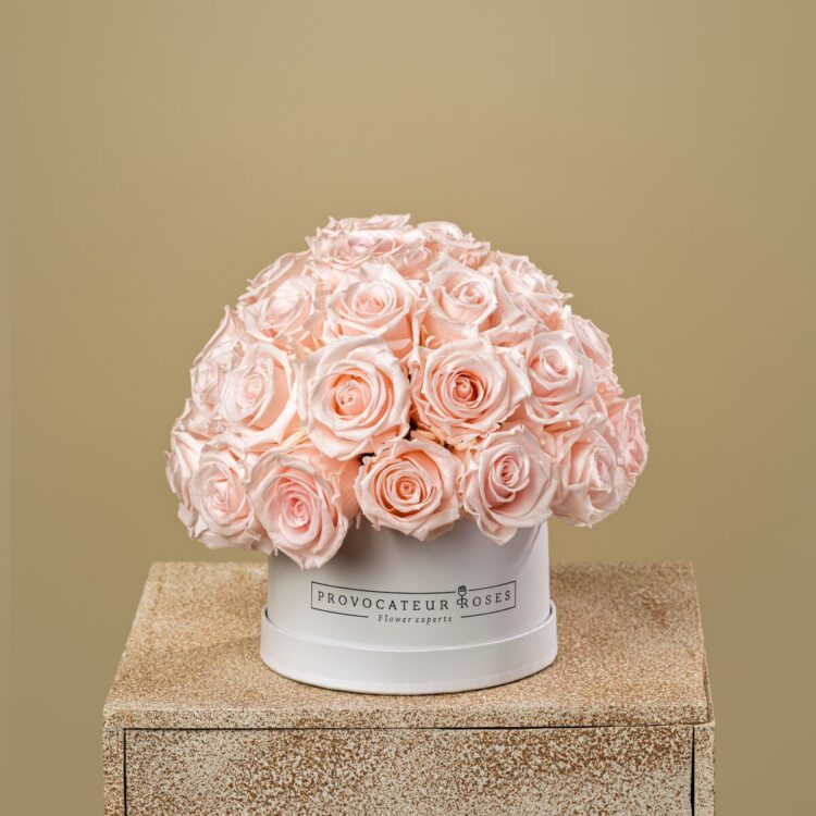 Eternal Glamour Baby Pink