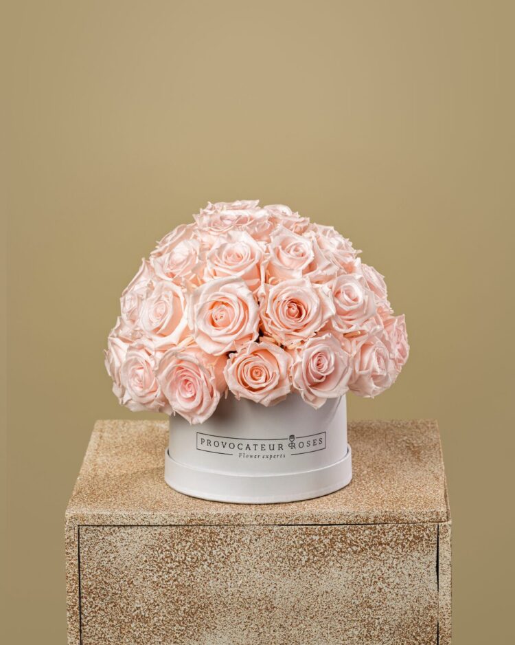 Eternal Glamour Baby Pink