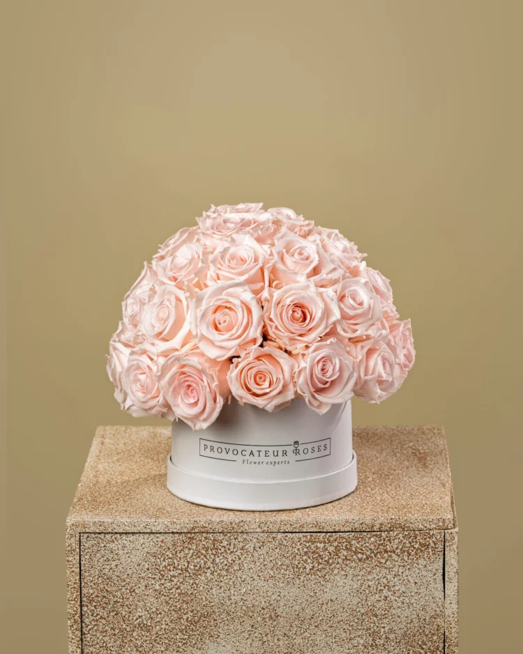 Eternal Glamour Baby Pink