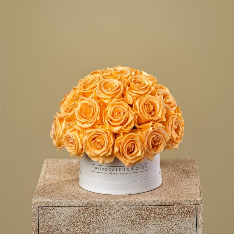 Eternal Glamour Orange