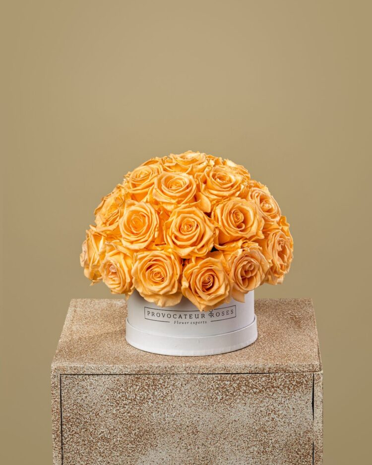 Eternal Glamour Orange