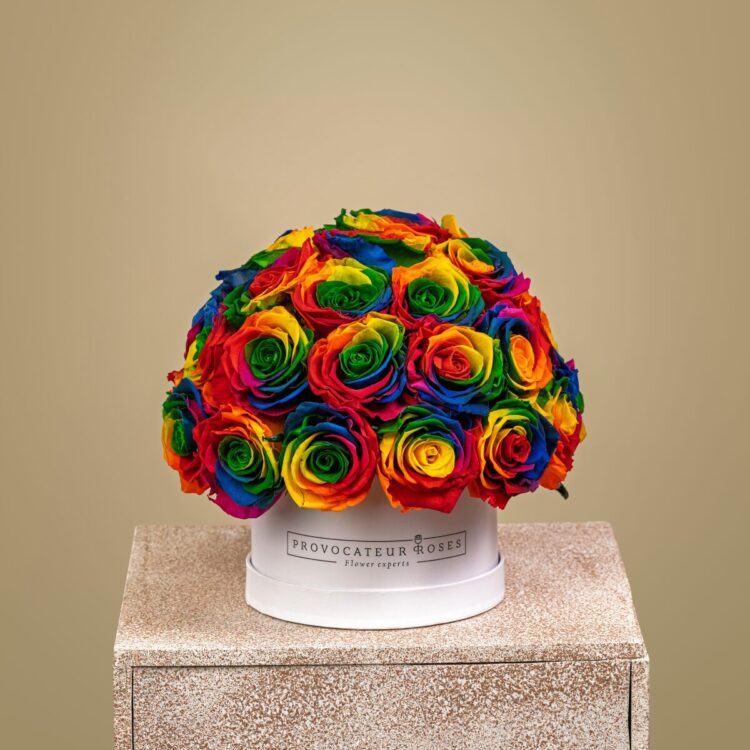 Eternal Glamour Arcoíris