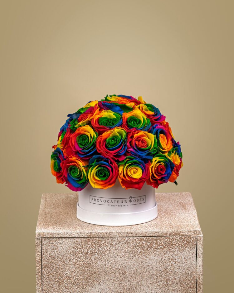 Eternal Glamour Arcoíris