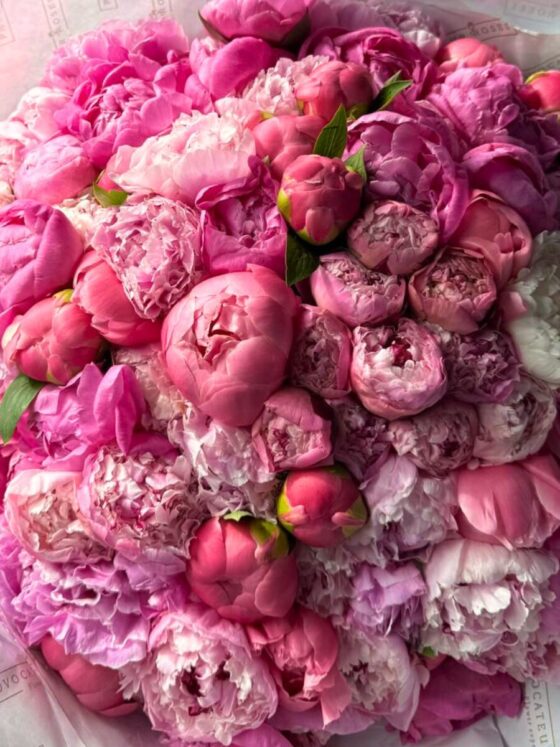 Luxury Peony Mix Bouquet - Imagen 2