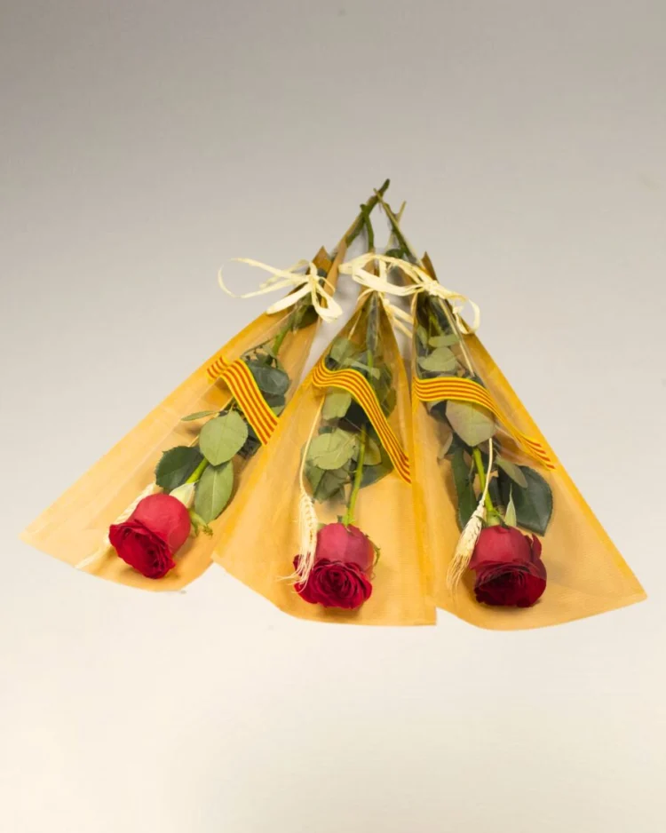 Pack of 3 Sant Jordi Roses