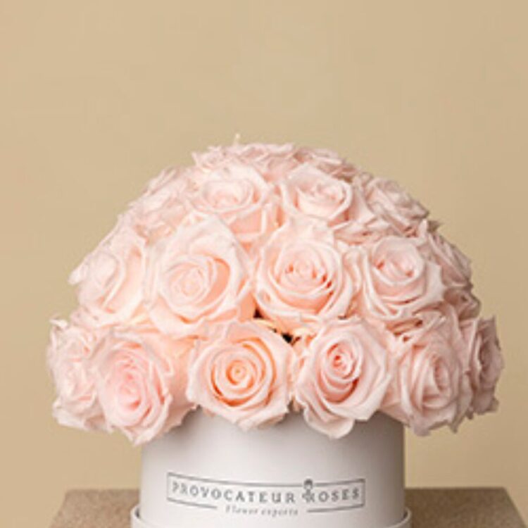 Eternal Glamour Baby Pink