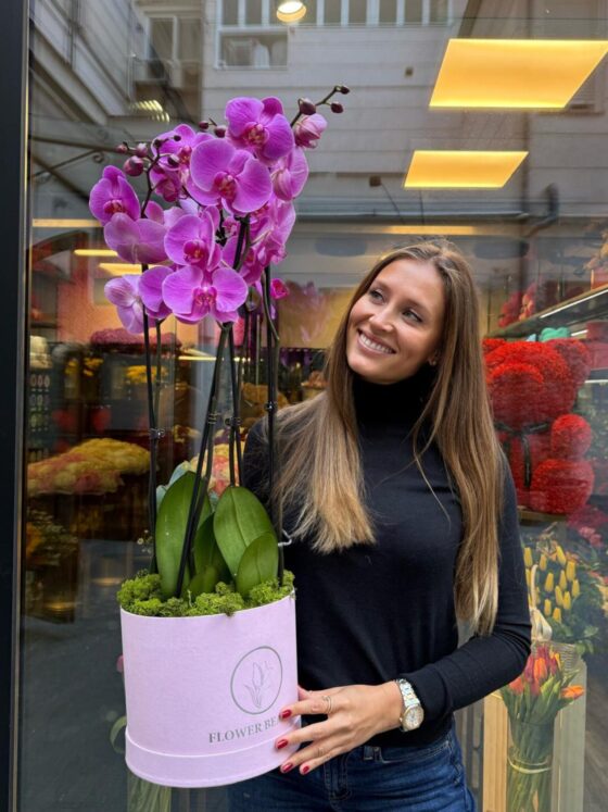 Orquídea Luxury 4 Barras