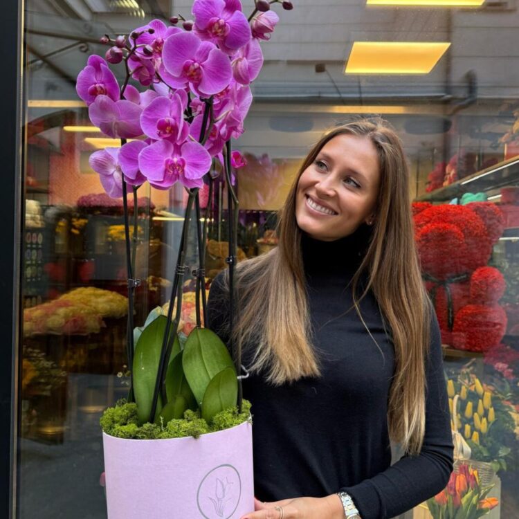 Orquídea Luxury 4 Barras
